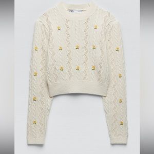 Zara Sweater